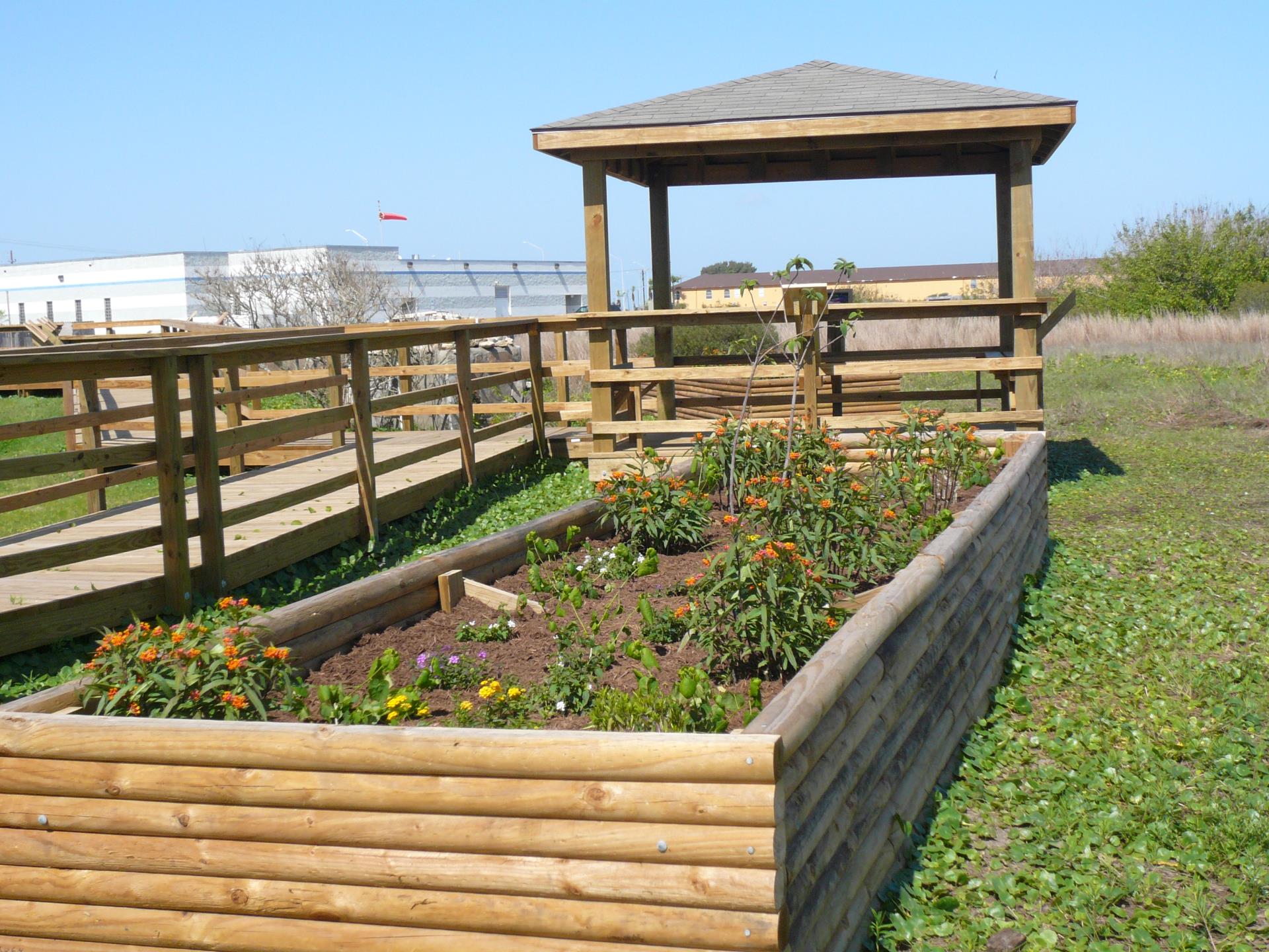 Hummingbird Butterfly Raised Beds